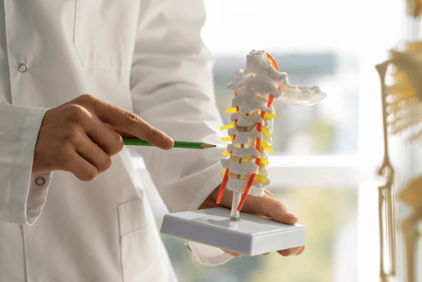 Osteoporose na menopausa: sintomas, densitometria óssea e como prevenir 1 Osteoporose menopausa tratamento